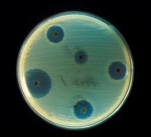 antimicrobialresistance-biologyweek