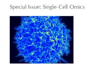 Single cell